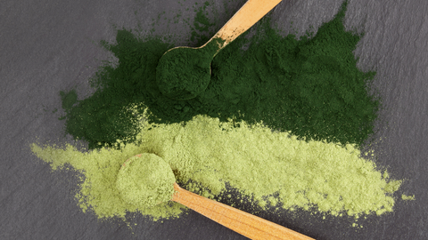 Chlorella Nedir, Ne İşe Yarar?