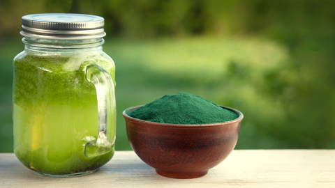 Spirulina Nedir?