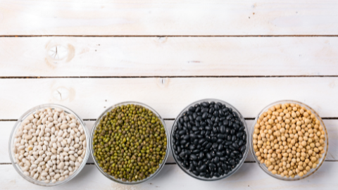 En iyi 10 Bitkisel Protein Kaynağı nedir?