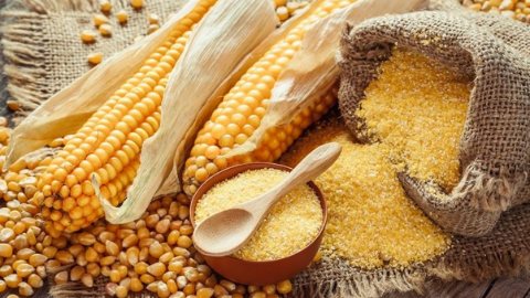 Polenta Nedir?
