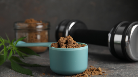 Protein Tozu Ne İşe Yarar?