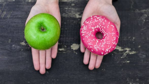 Sezgisel Beslenme Nedir?