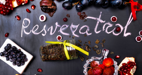 Resveratrol Nedir?