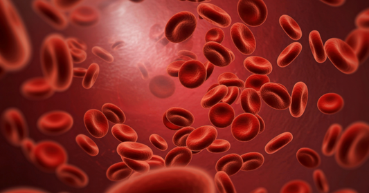 Kan Yapan Yiyecekler Nelerdir?