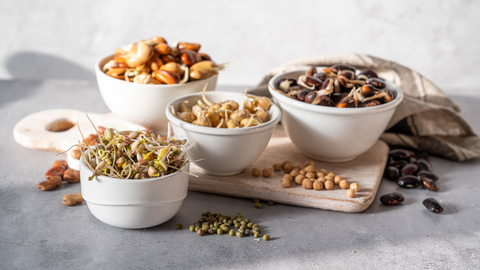 Sağlıklı ve Besleyici Gıda: Filizlendirilmiş Bakliyatlar