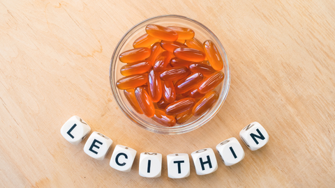 Lesitin Nedir, Ne İşe Yarar?