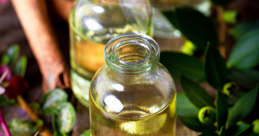 Kantaron yağı Ne işe Yarar?