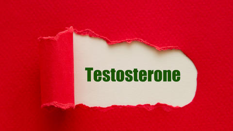 Testosteron Arttıran Besinler