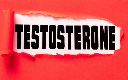 Testosteron Arttıran Besinler