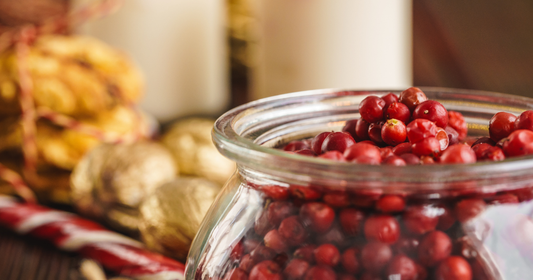 Turna Yemişi Faydaları Nelerdir?