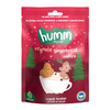 HUMM Organik Zencefilli Tarçınlı Vegan Kurabiye 55g
