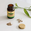 SOLGAR Saw Palmetto Berries 100 Kapsül 520mg 