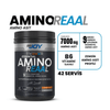 BİGJOY Amino Reaal Portakal 420g