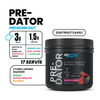 BİGJOY Predator Orman Meyveli 289g