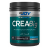 BIGJOY Sports Creabig Powder Aromasız 300g