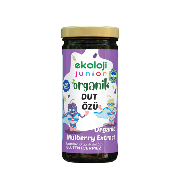 EKOLOJİ MARKET Junior Dut Özü 290g