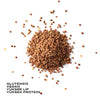THE GOOD WILD Filizlendirilmiş Kırmızı Mercimek 175g