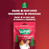 HUMM Organik Zencefilli Tarçınlı Vegan Kurabiye 55g