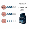 Moliendo Guatemala Decaf (Kafeinsiz) Yöresel Filtre Kahve 250g