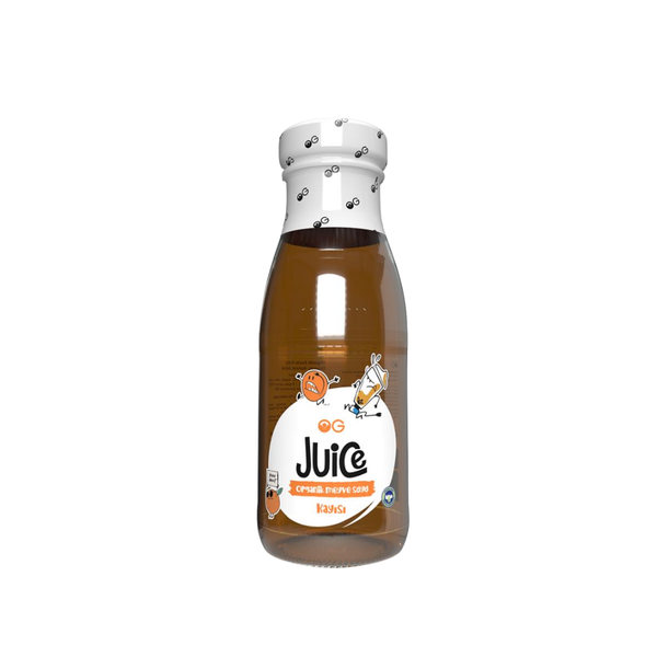 OG NATURAL Organik Kayısı Suyu 250ml