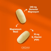 ORZAX Ocean ExtraMag Magnezyum Malat + P5P 60 tablet