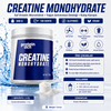 PROTEINOCEAN Creatine 300g