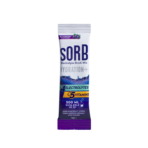 SORB Electrolyte Drink Mix Blueberry 16g