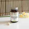 VENATURA Probiotic Transit Mikroorganizma 30 Kapsül