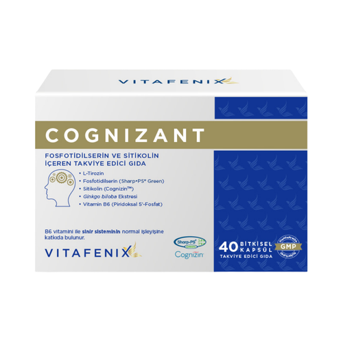 VİTAFENİX Cognizant Fosfotidilserin ve Sitikolin İçeren Takviye Edici Gıda 40 Kapsül