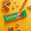 ZÜBER Elmalı & Tarçınlı Granola Bar 25g X 15 Adet