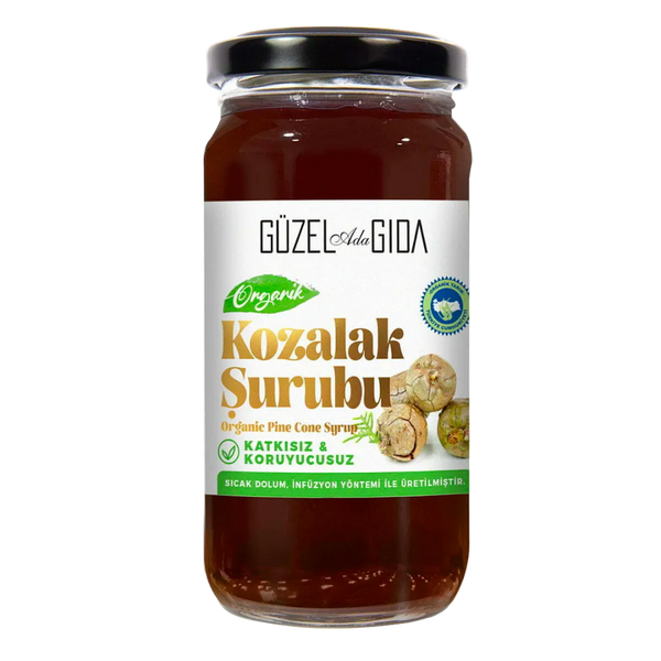 GÜZEL GIDA Organik Kozalak Şurubu 230 ml
