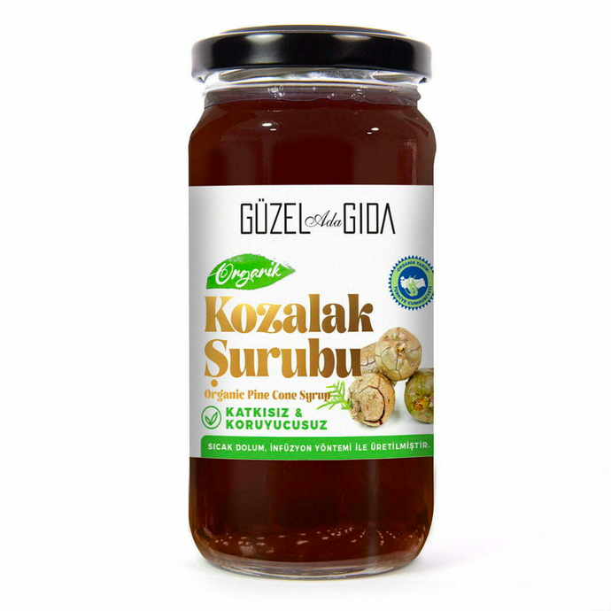 GÜZEL GİDA Organik Kozalak Şurubu 230 ml